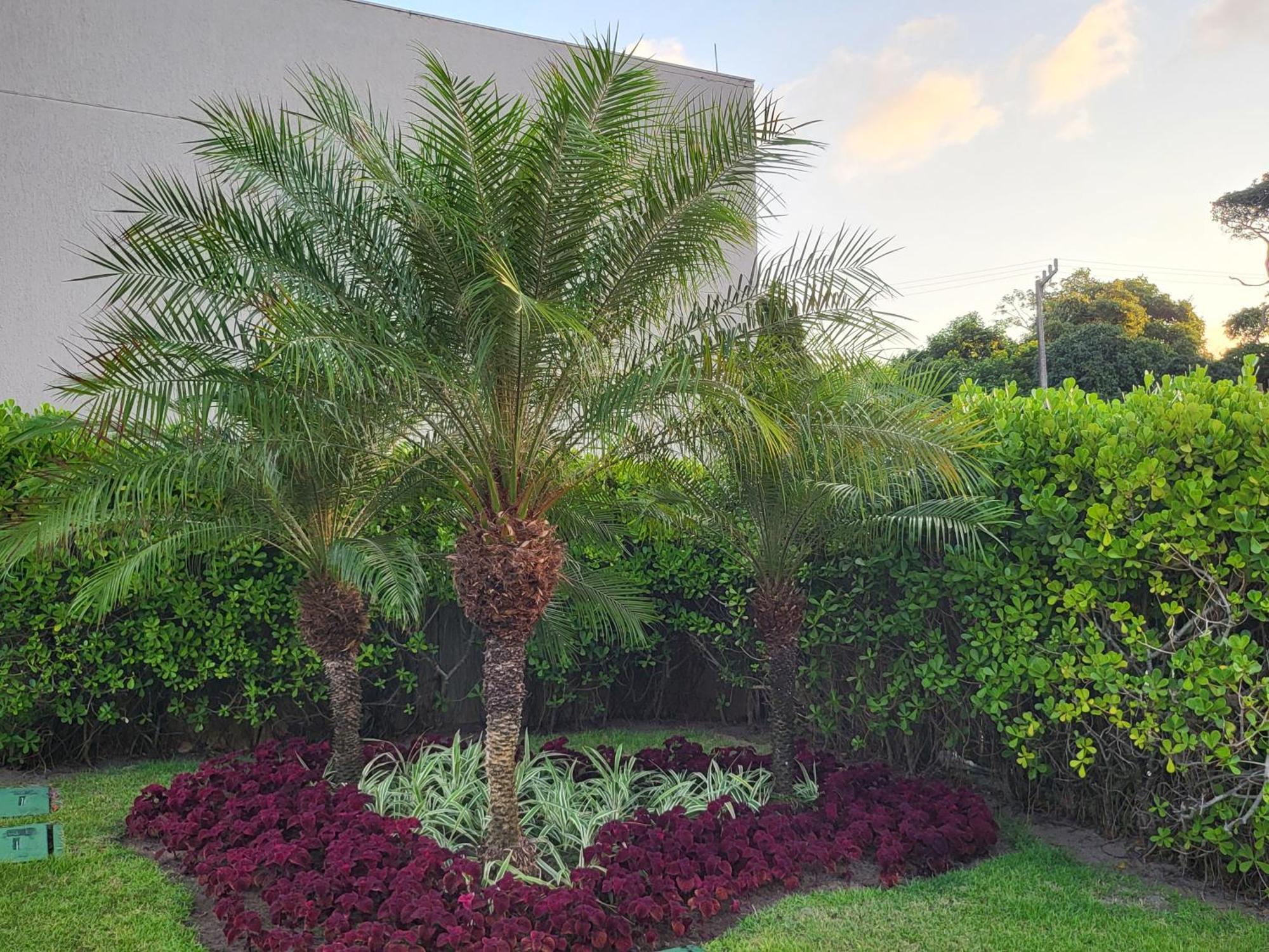 Boutique Ecolife Apartamento Pôrto das Galinhas Exterior foto
