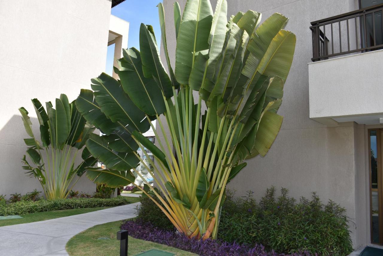 Boutique Ecolife Apartamento Pôrto das Galinhas Exterior foto